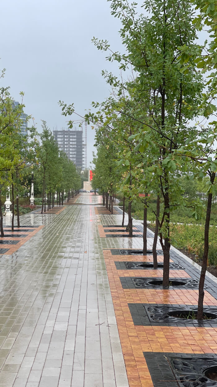 Приствольная решетка для дерева ZKING CRUST 1.2х1.2м Черная в Кемерово фото