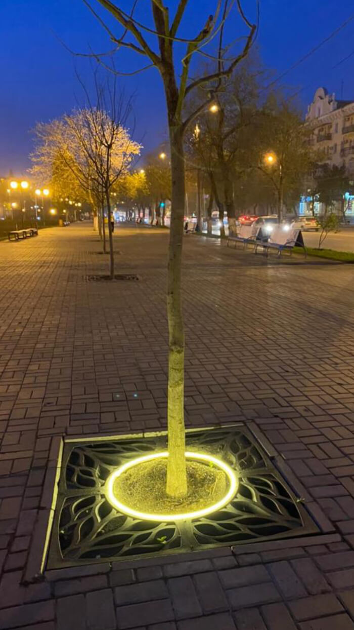 Приствольная решетка для дерева ZKING CRUST 1.2х1.2м Черная в Кемерово фото